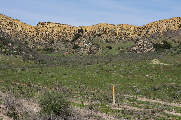 DSC01120
