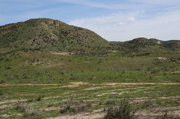 DSC01123