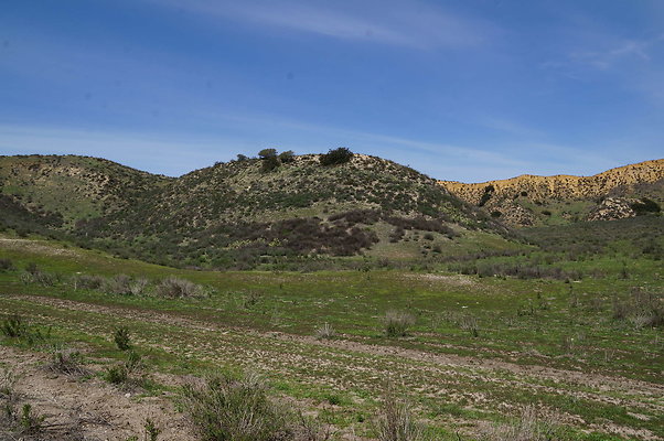 DSC01126