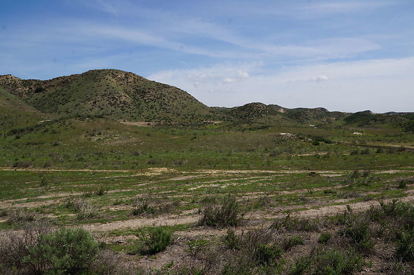 DSC01118