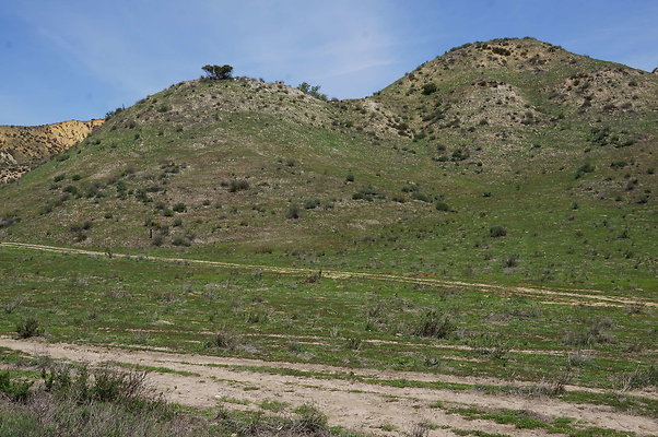DSC01121