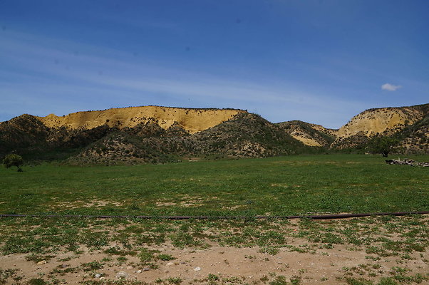 DSC01183