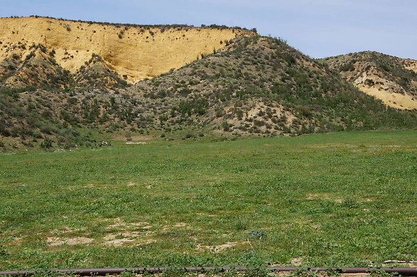 DSC01179