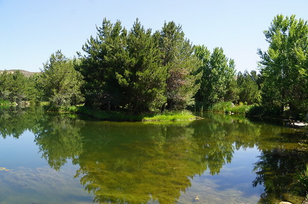 GO.Pine.Lake.16