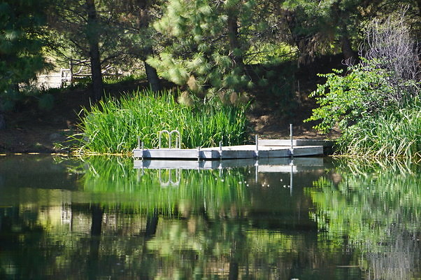 GO.Pine.Lake.04