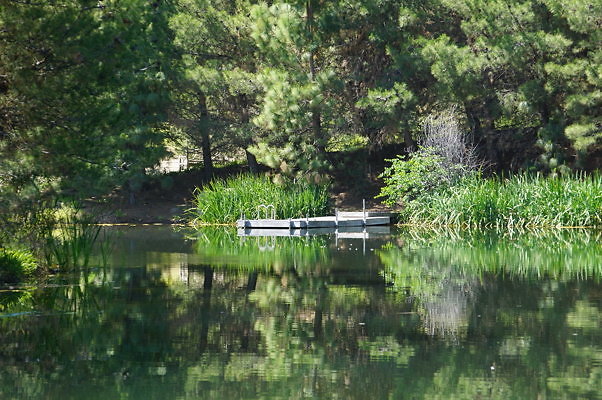 GO.Pine.Lake.05