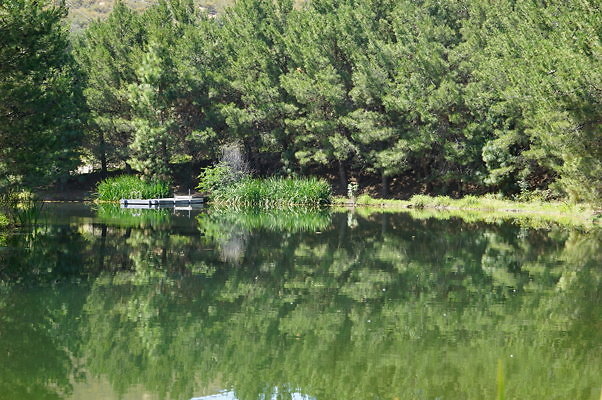 GO.Pine.Lake.06
