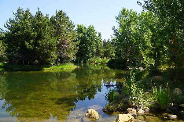 GO.Pine.Lake.09