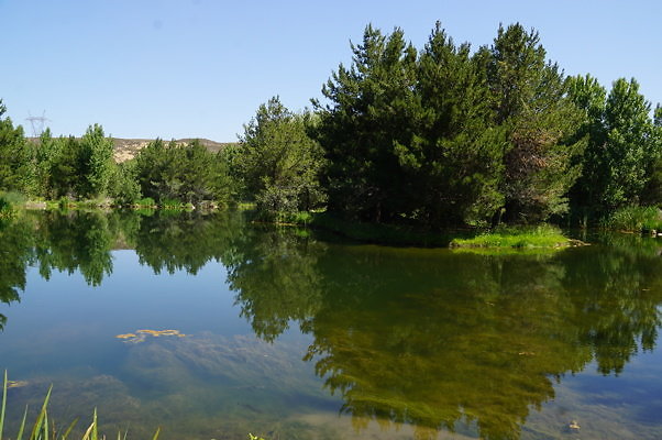 GO.Pine.Lake.14