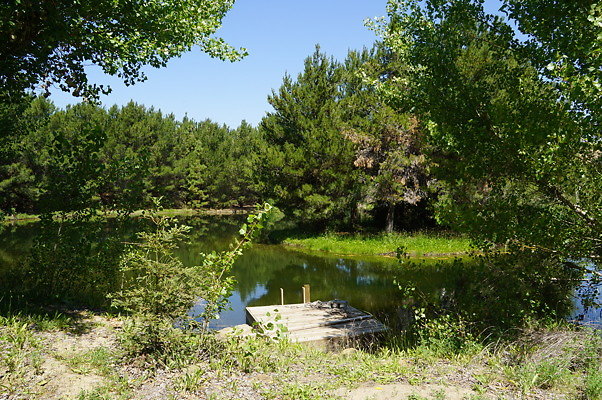 GO.Pine.Lake.19