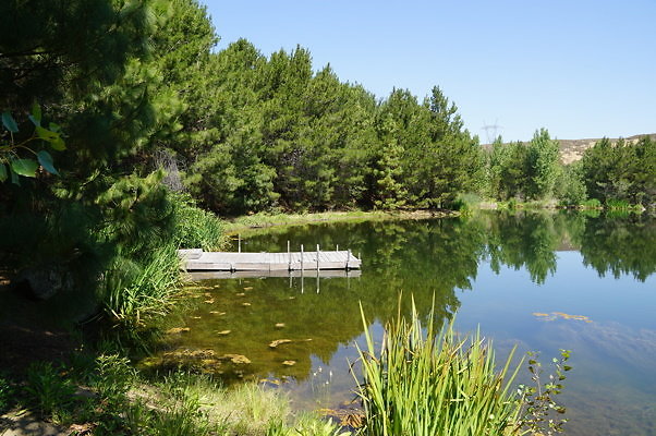 GO.Pine.Lake.07
