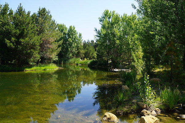 GO.Pine.Lake.15