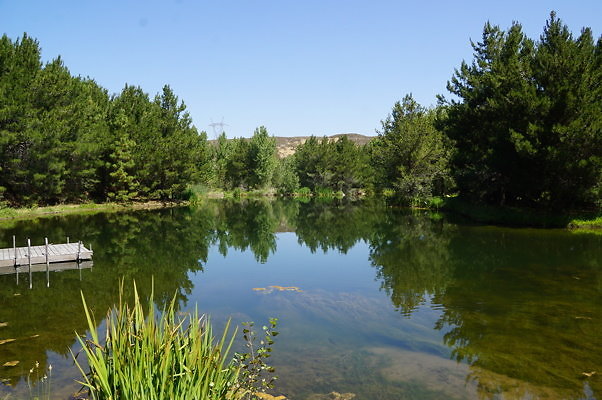 GO.Pine.Lake.08