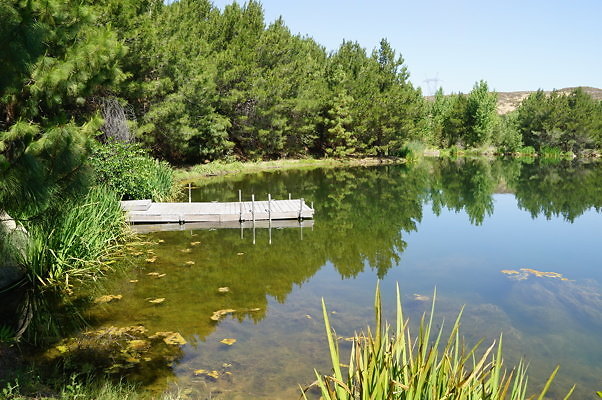 GO.Pine.Lake.13
