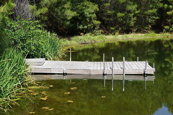 GO.Pine.Lake.12