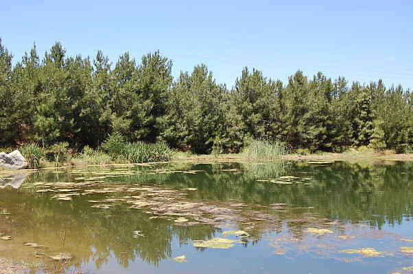 DSC 0138