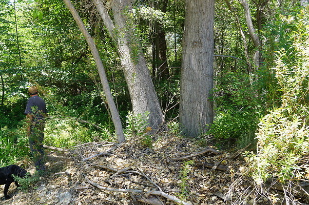 Polsa.R.Creek.N.03