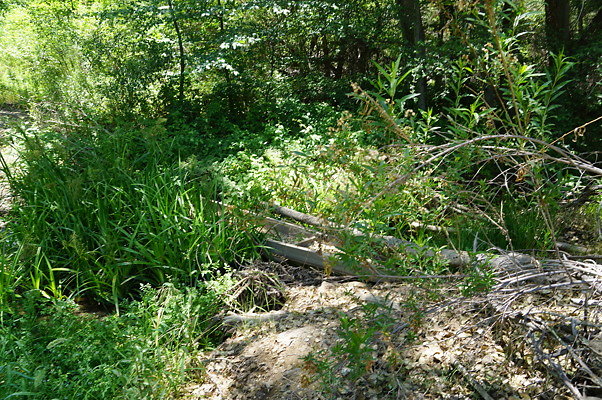 Polsa.R.Creek.N.09