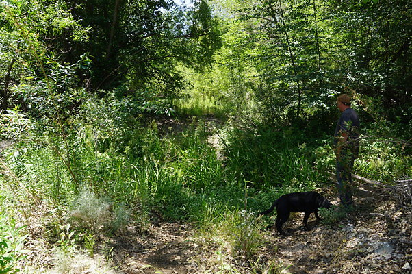 Polsa.R.Creek.N.02