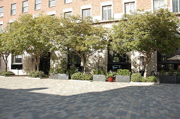 DSC 0199
