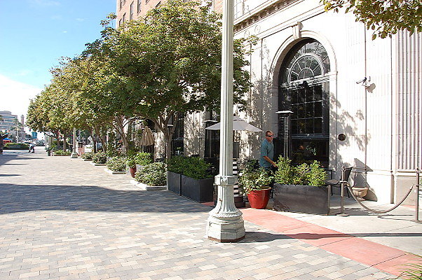 DSC 0218