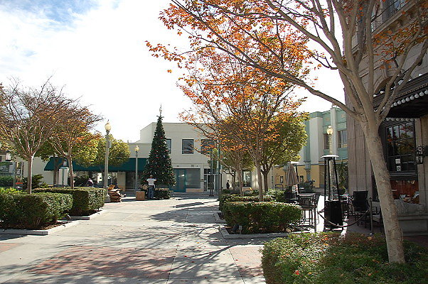 DSC 0211