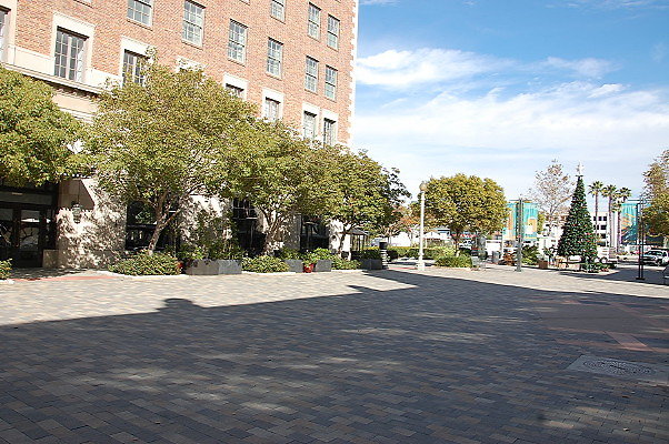 DSC 0194