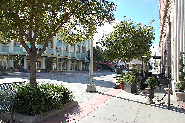 DSC 0210