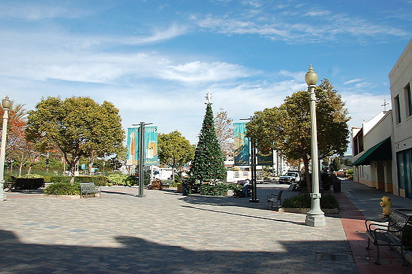DSC 0233