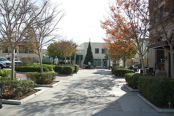 DSC 0213