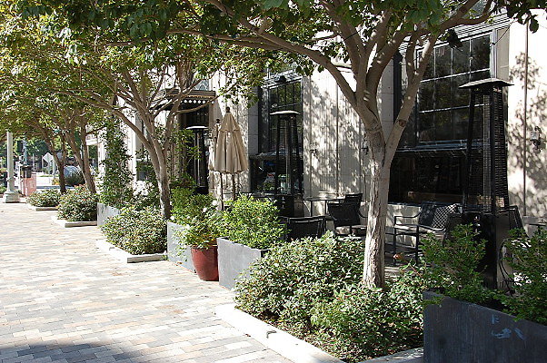 DSC 0204
