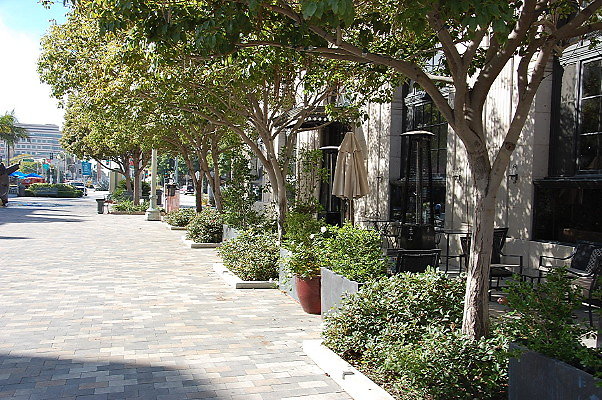 DSC 0205