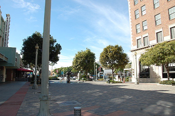 DSC 0231
