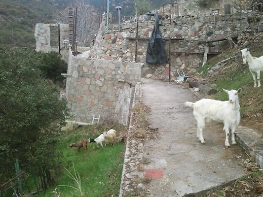 Zorthian.Gardens.Misc.28