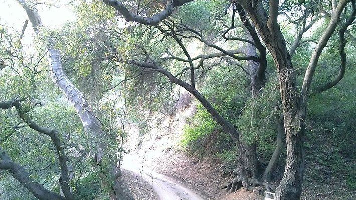 Zorthian.Gardens.Misc.18