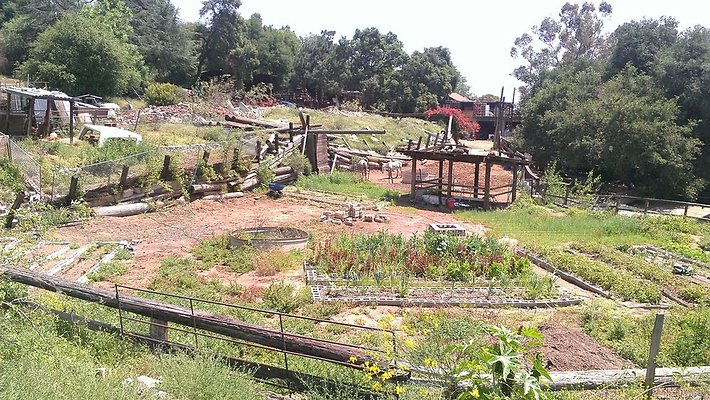 Zorthian.Gardens.Misc.27