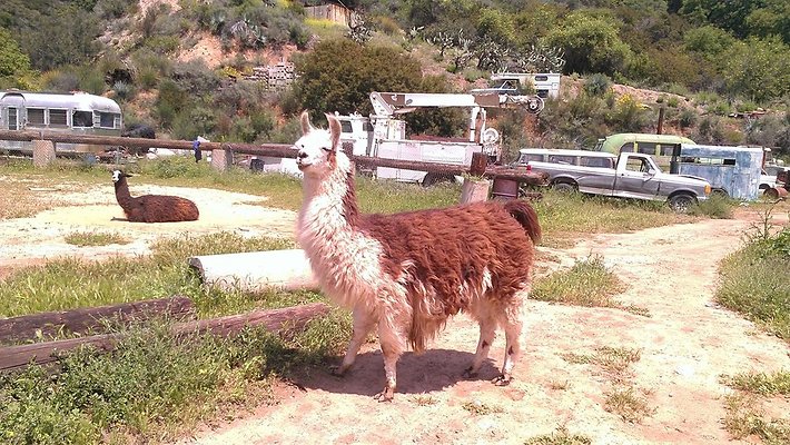 Zorthian.Gardens.Misc.16