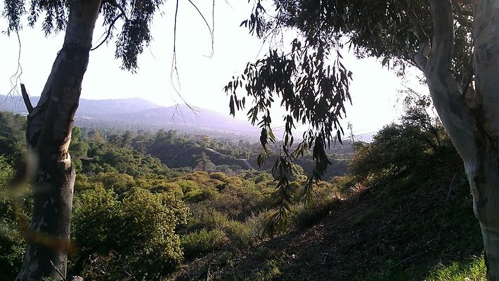 Zorthian.Gardens.Misc.21