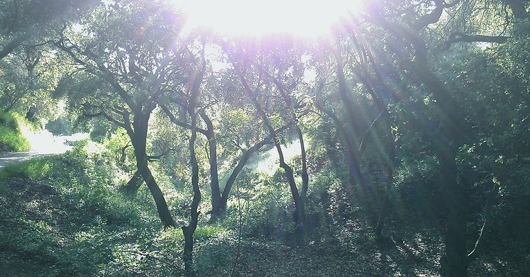 Zorthian.Gardens.Misc.24