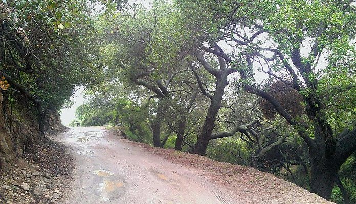 Zorthian.Gardens.Misc.22