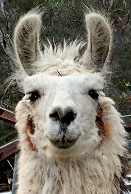 Zorthian.Gardens.Misc.12