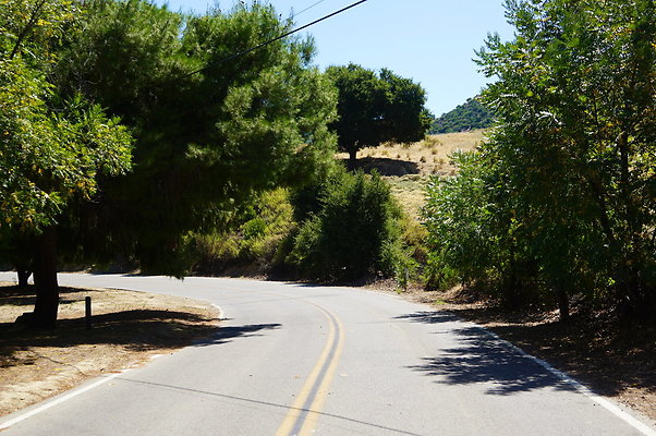PCR.Lake.Piru.71