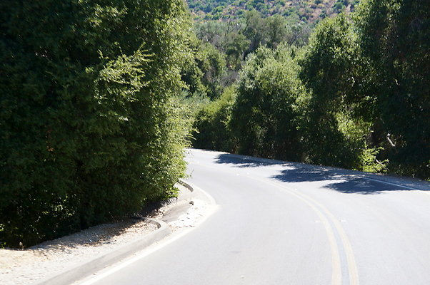 PCR.Lake.Piru.76