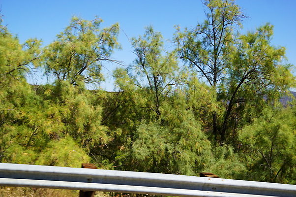Lake.Hughes.Rd.251