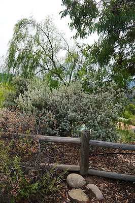 On.Loc.Garden.5043.Top.61