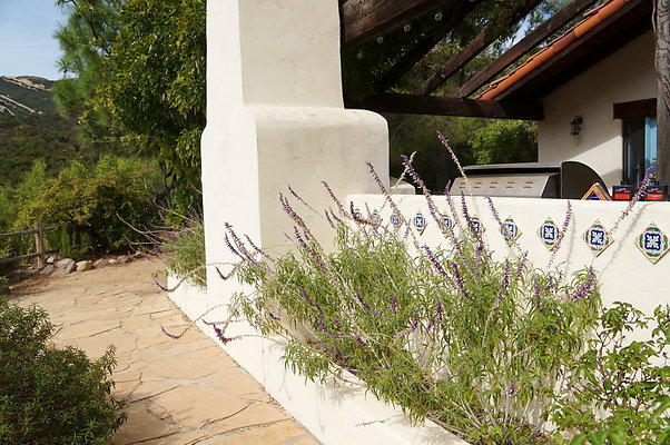 On.Loc.Garden.5043.Top.66