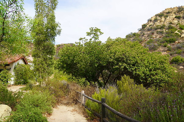 On.Loc.Garden.5043.Top.62