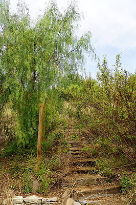 On.Loc.Garden.5043.Top.76