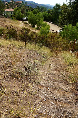 On.Loc.Garden.5043.Top.74