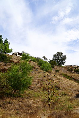 On.Loc.Garden.5043.Top.78